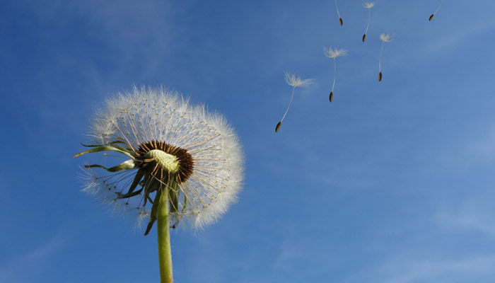 Ademtherapie in Bussum